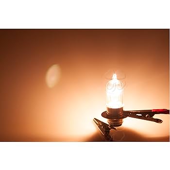Amazon.com: LuckyBike Clear 1x Headlight Bulb P15D-25-1